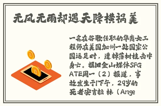 万篇长征zztt黑暗传送门2024
